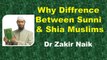 Why diffrence between Sunni & Shia Muslims - Q & A Dr Zakir Naik