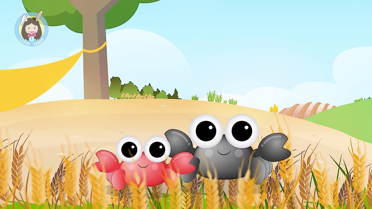 La música bailarina isleños l g-convexo total de canciones de los niños preescolares canciones de 1 hora.