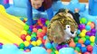 Kids Ball Pit Playground Fun Balls Surprise Toys for Kids by Blu Toys Club-iHDy-Dr0jTo