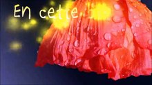 Sans Titre