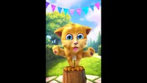 Itsy Bitsy Spider | Funny Cat Talking Ginger | Nursery Rhymes - Baby Song