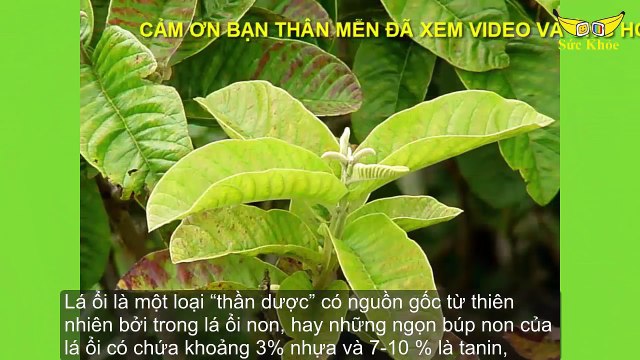 Quả Chuối Mà Bạn Hay Vứt đi Lại Là THẦN DƯỢC Cứu Sống Bạn Và Ngừa Ung Thư