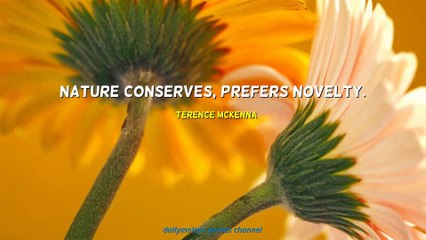 Terence McKenna Quotes
