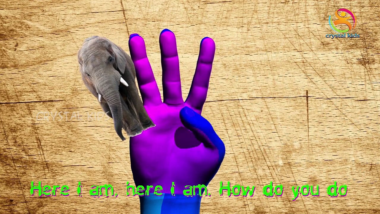 Elephant Finger Family | Nursery Rhymes | 3D Animation From TanggoKids Nursery Rhymes