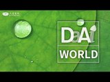 DaAi World Live