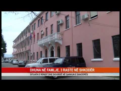 SITUATA E RENDIT DHE SIGURISË NË QARKUN E SHKODRËS