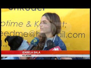 PANAIR PËR KAFSHËT E RRUGËVE