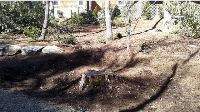 Town and Country Stump Removal (864) 280-5189