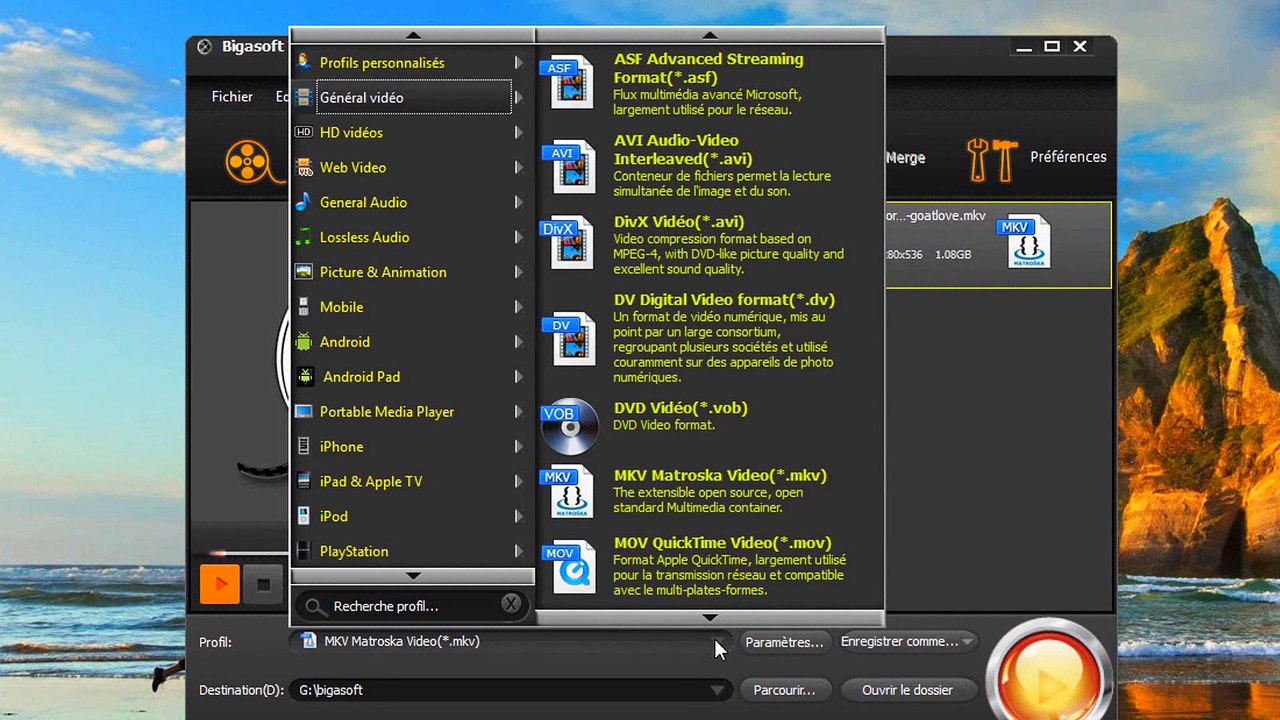 Bigasoft total video converter 5 dts en ac3