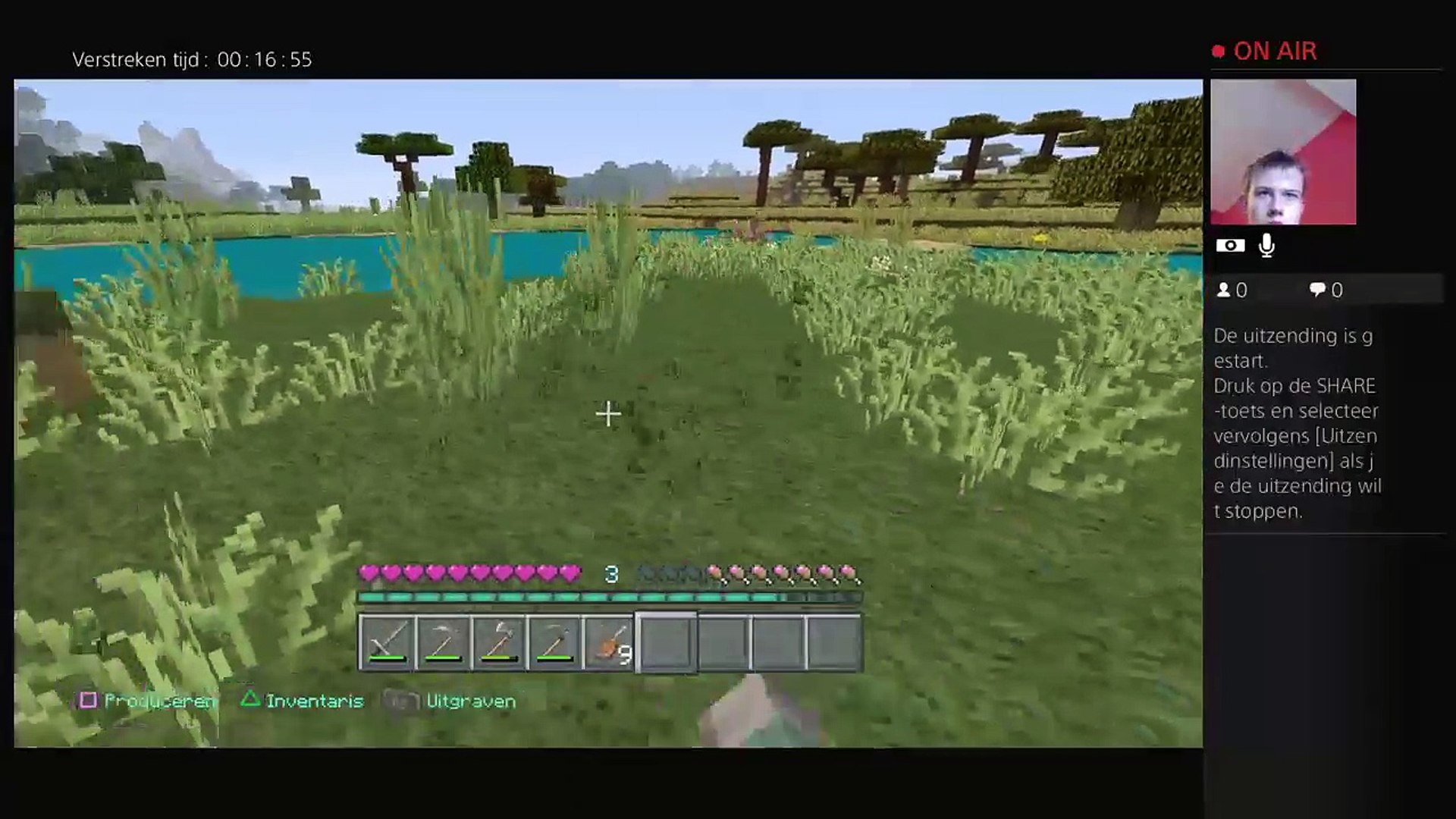 Minecraft survival #1 (22)