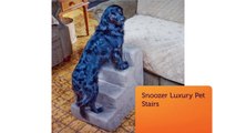 Shop Online Snoozer Pet Stairs : Snoozer Pet Beds
