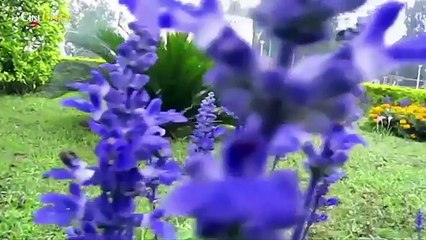 new 7 Undiscovered Travel Places In India