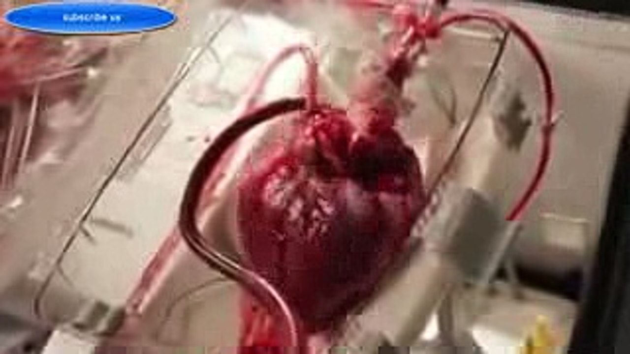 How to Medical Science and Technology works in 2016 - Latest Future Technology with no limitation - YouTube