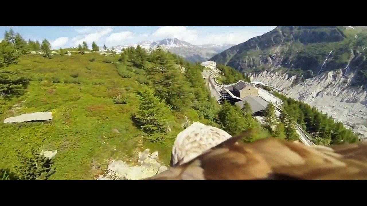 Ярмак - Білий птах (кліп про АТО)