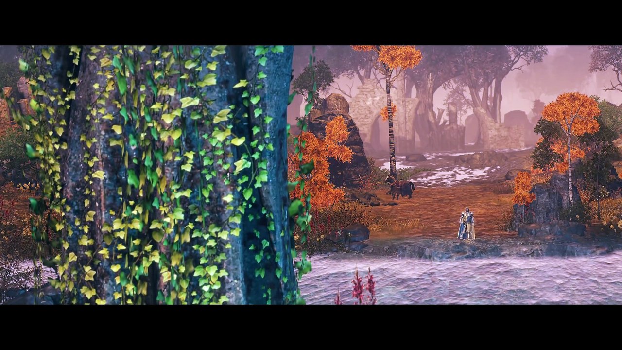 Total War- WARHAMMER - Bretonnie