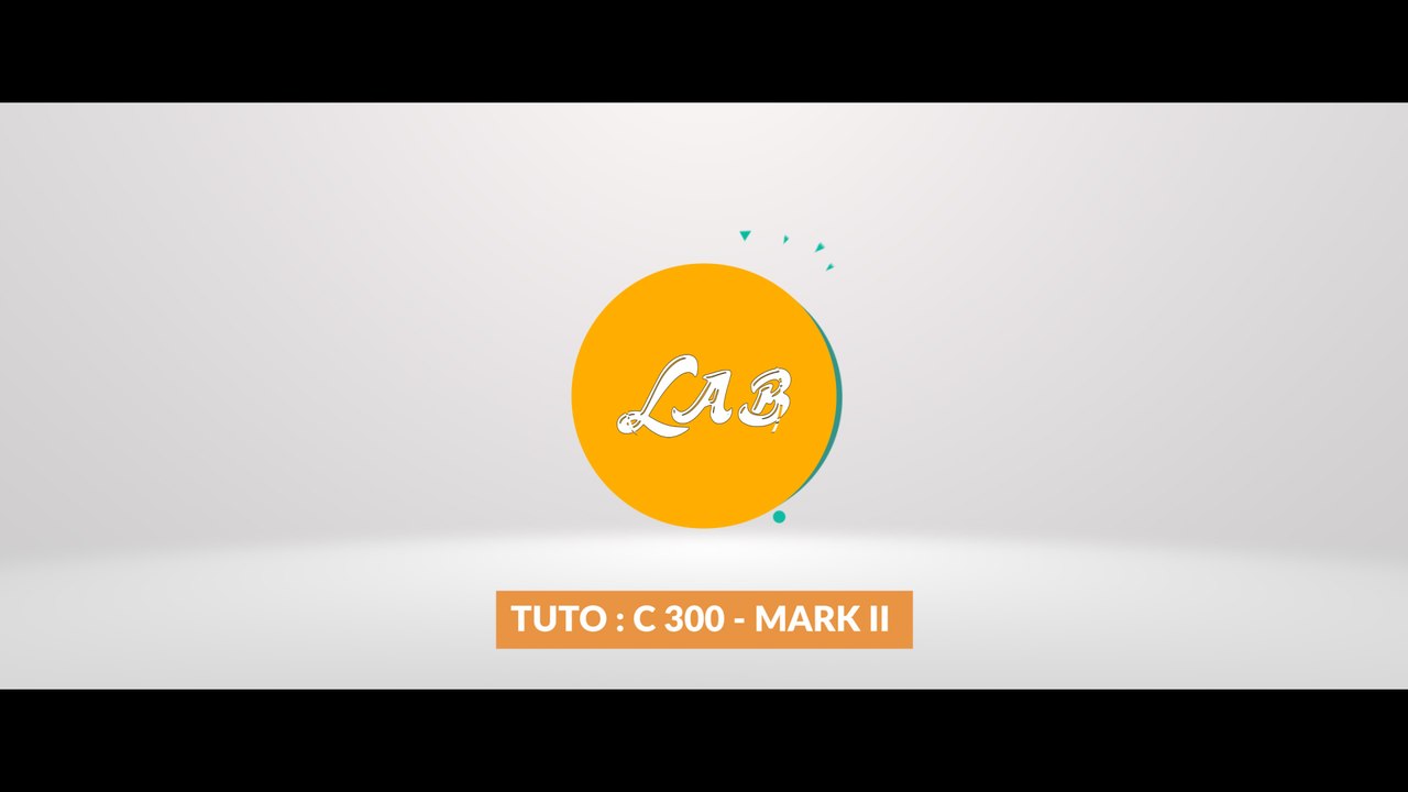 REVIEW CANON C-300 MARK II