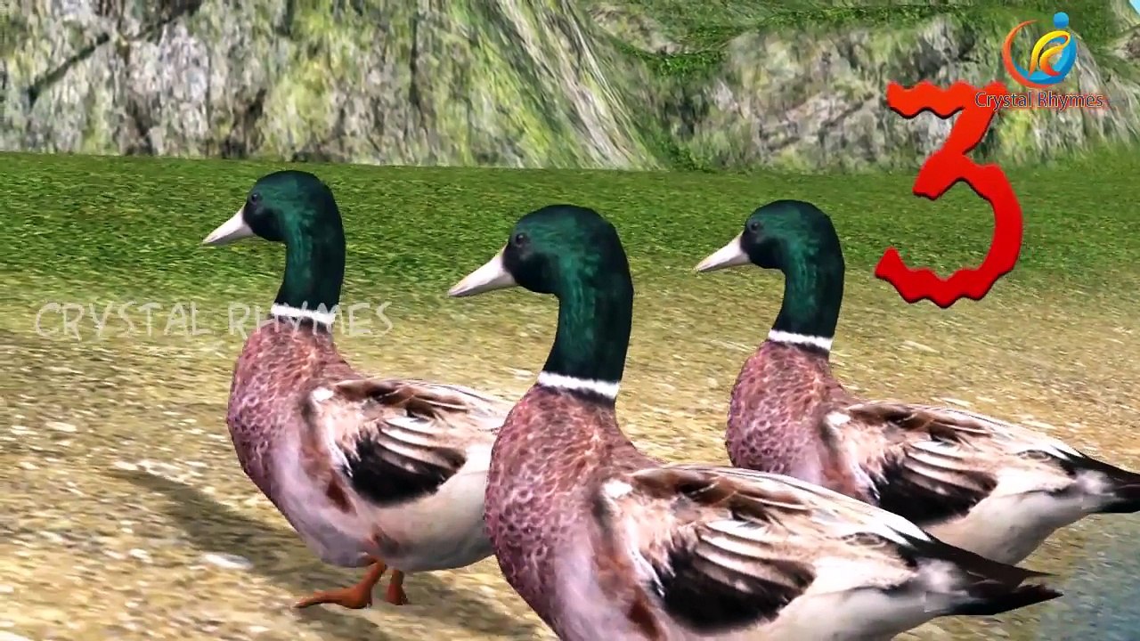 Colors Dinosaurs Cartoons For Children | Dinosaurs Fighting | 3d Animated Movies For Kids