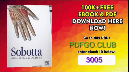 A Study Manual in Neuroanatomy P