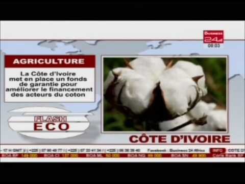 Business 24 Flash Eco Cote d'Ivoire Agriculture La Cote d'Ivoire ment en place un fons de garantie