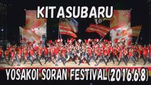 【YOSAKOI SORAN DANCE】KITASUBARU 2016.6.8 YOSAKOI SORAN FESTIVAL