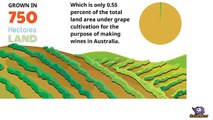 Tempranillo Wines and Grape Australia