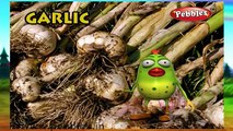 3D Rhymes Collection | 30 Nursery Rhymes Collection | Vegetable Rhymes Compilation | Rhyme