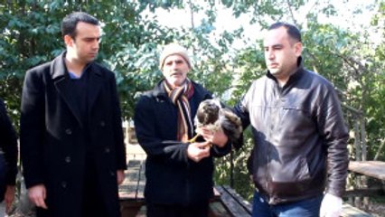 Yaralı Doğan Tedavi Altına Alındı