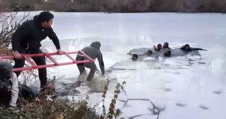 Avustralyalı Model ve Arkadaşı Canını Hiçe Sayıp 7 Çocuğu Boğulmaktan Kurtardı