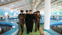 N Korea diplomat suspected, US immigration