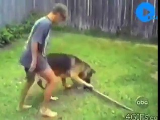 Adalet bazen hiç gecikmez