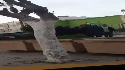 فيديو مسرب لوليد النهدي والممثلة رانية القابسي