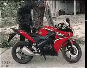 Reality vs Expectation