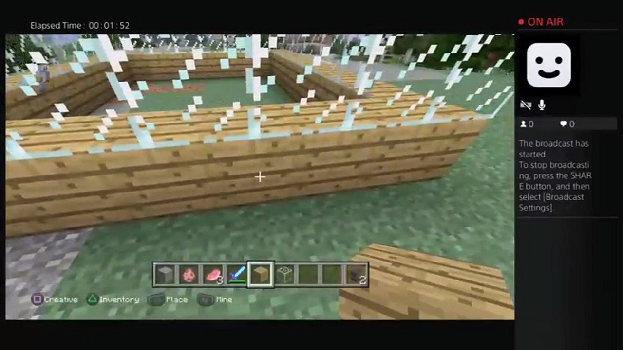 Minecraft (29)