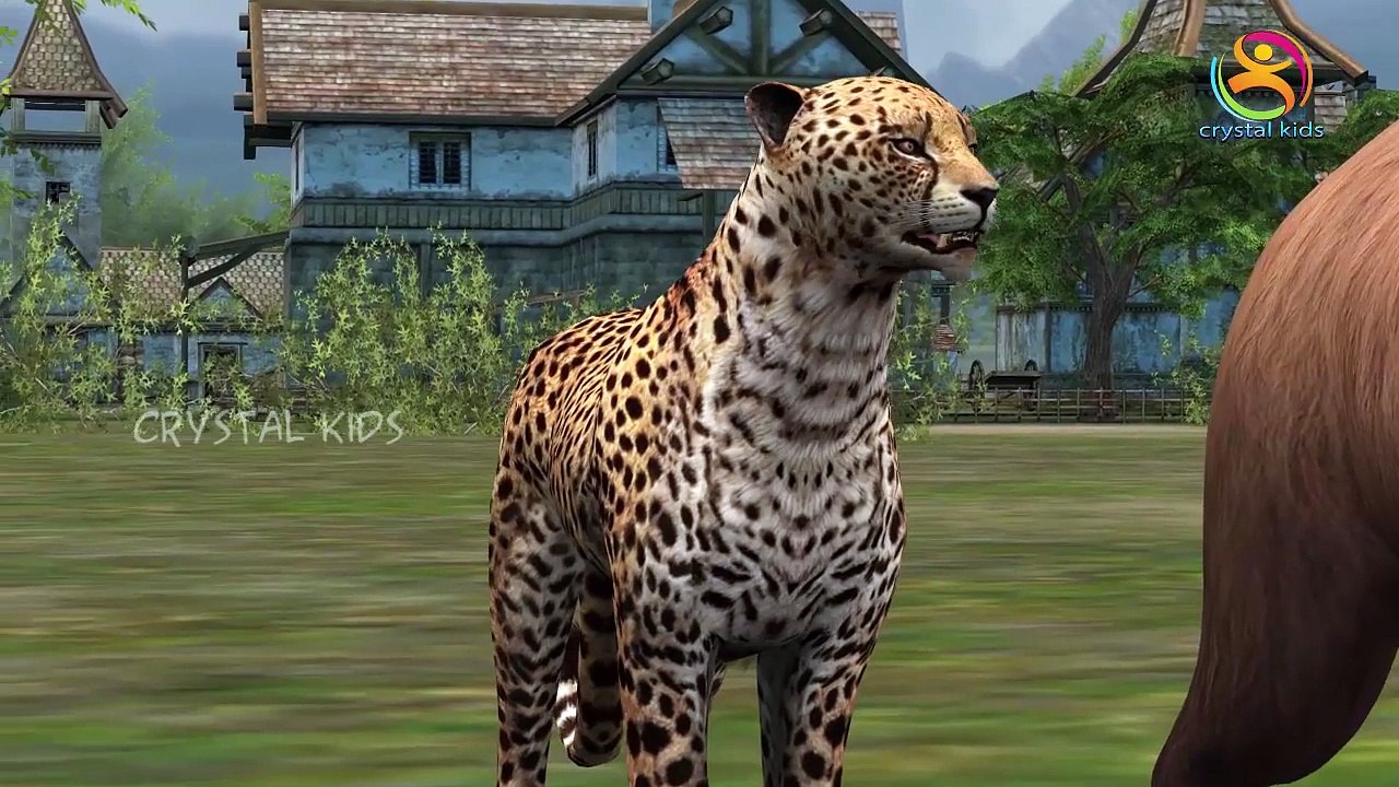 Animals Finger Family | Finger Family song | Kids Songs | Animal Nursery Rhymes for Childr