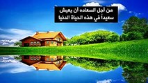 هل وجدتم السعادة الشيخ نبيل العوضي -
