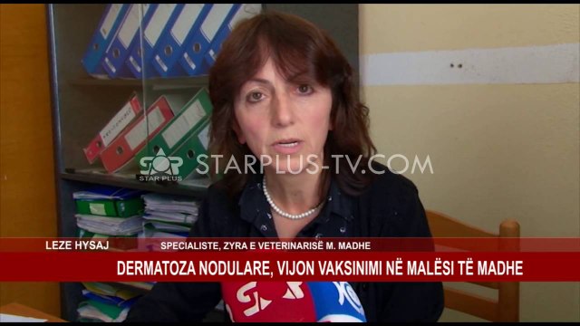 DERMATOZA NODULARE, VIJON VAKSINIMI NË MALËSI TË MADHE