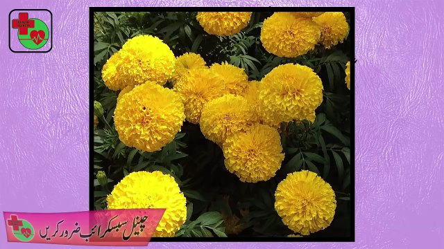 06.Acne Scars Treatment At Home Acne Scars Removal Tips Acne Face Mask In Urdu_Hindi