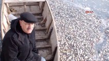Afyonkarahisar Eber'de Toplu Balık Ölümleri