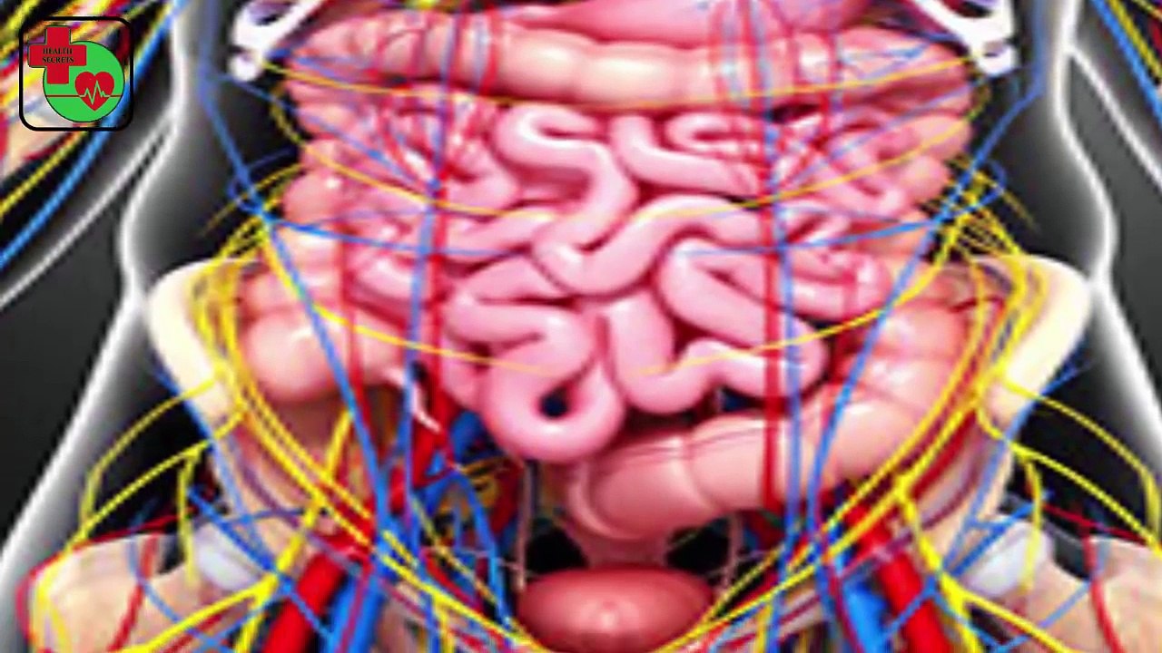 02.Qabaz Ka Fori ilaj -- Constipation Treatment -- Constipation Home Remedies -- In Urdu_Hindi --