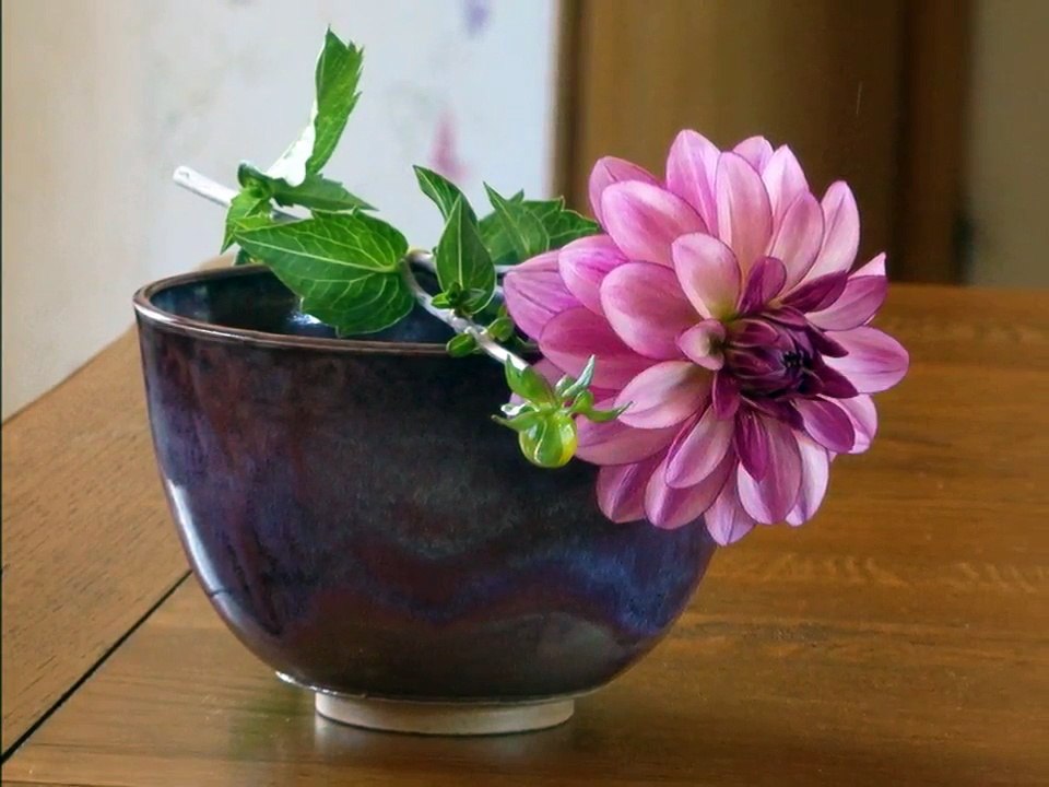 Doux comme vos pétales