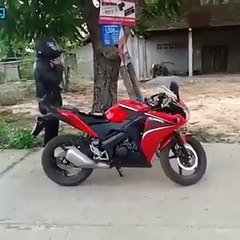 É tudo uma questão de ponto   de vista