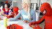 Superhero Compilation Spiderman in love? Ugly Elsa vs Harley Quinn & Disney Princesses vs poison ivy
