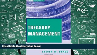 Popular Book  Treasury Management: The Practitioner s Guide  For Trial