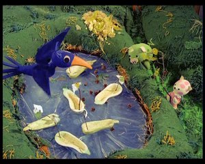 Mazsola És Tádé @ Tengeri Csata