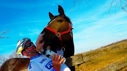Horse tries to eat cyclist's water bottle and camera