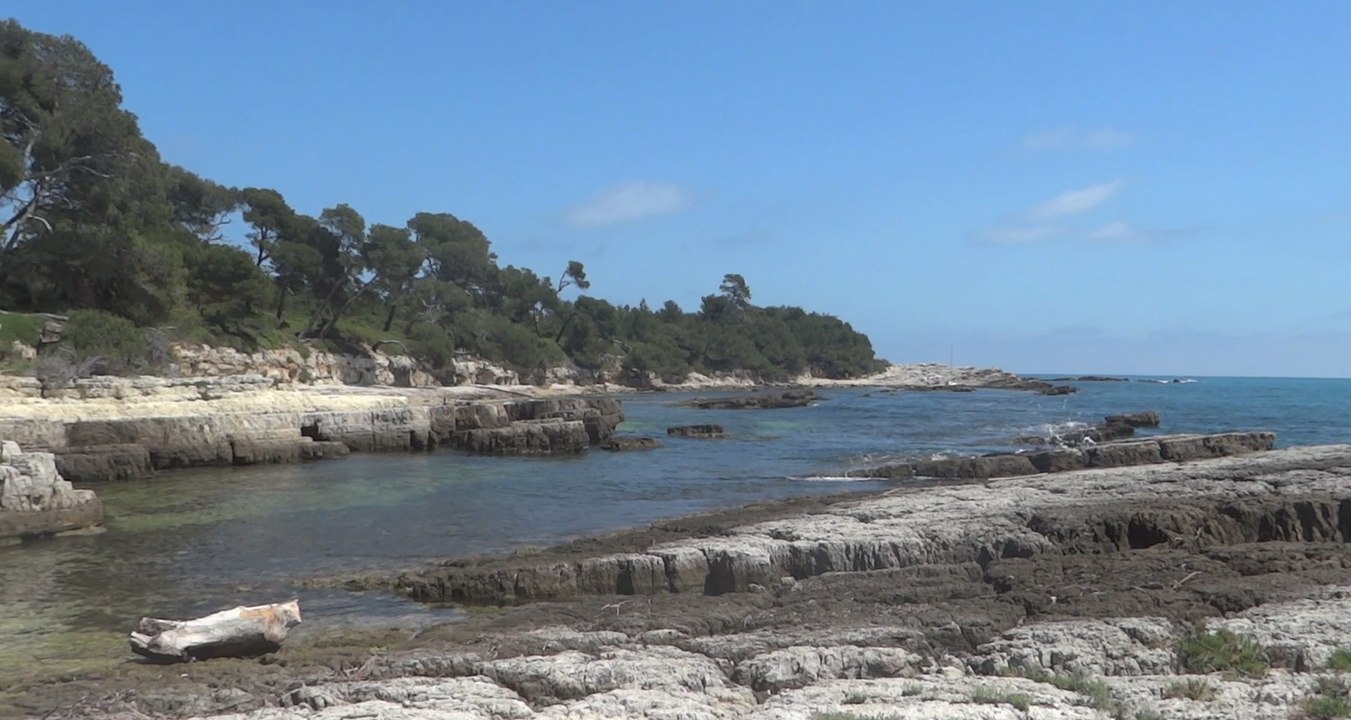 Mon Paradis sur mer