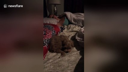 Man surprises sleeping wife with a puppy