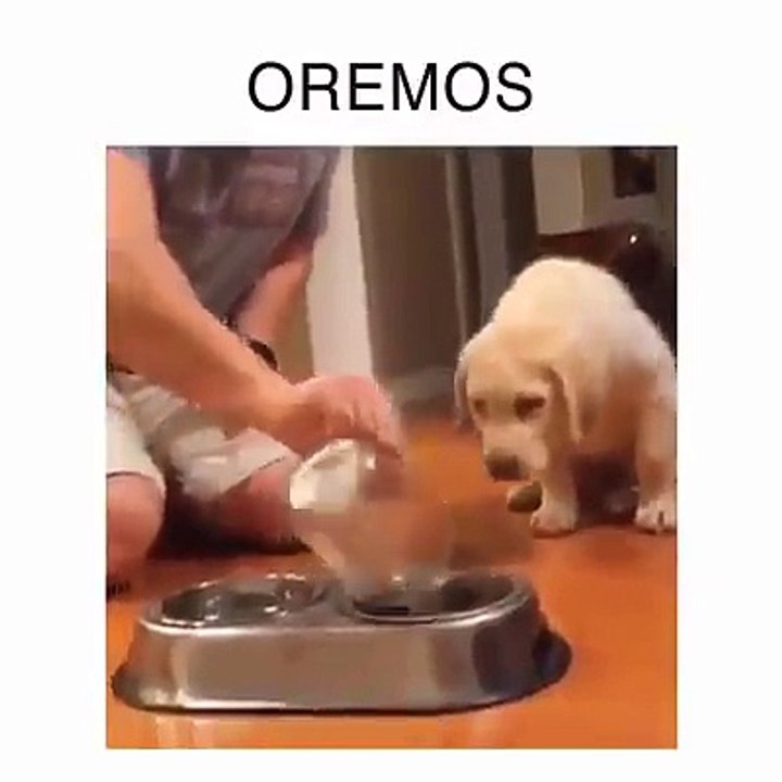 ORANDO ANTES DE COMER... :)