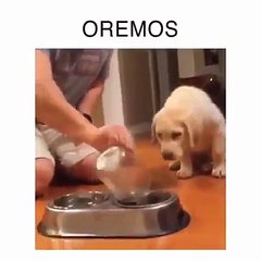 ORANDO ANTES DE COMER... :)