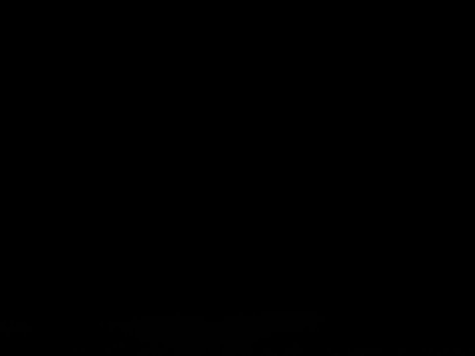 Alina Tipluk Belly Dancer